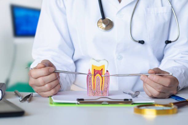 Best Emergency Tooth Extraction  in Winchester, KY